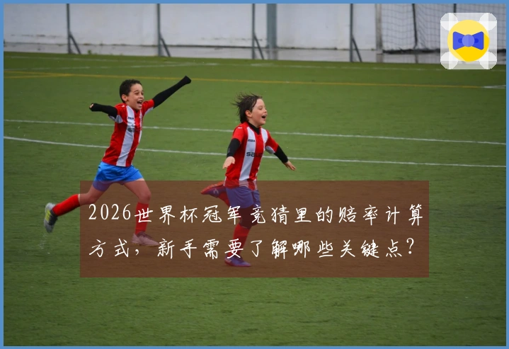 2026世界杯冠军竞猜里的赔率计算方式，新手需要了解哪些关键点？