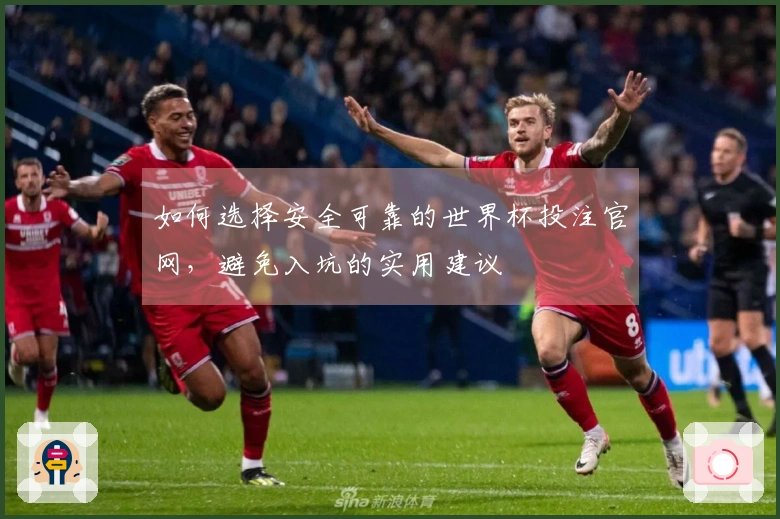 如何选择安全可靠的世界杯投注官网，避免入坑的实用建议