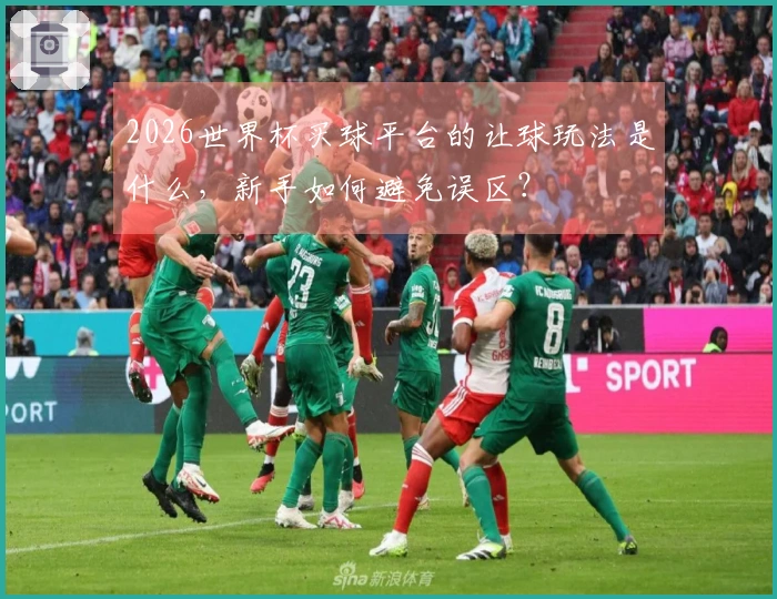 2026世界杯买球平台的让球玩法是什么，新手如何避免误区？