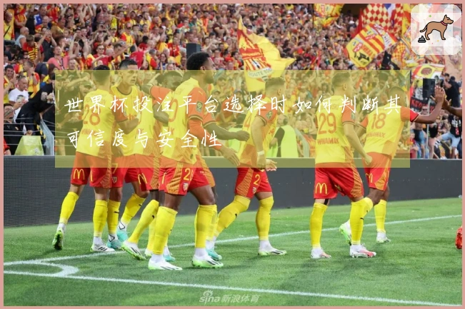 世界杯投注平台选择时如何判断其可信度与安全性