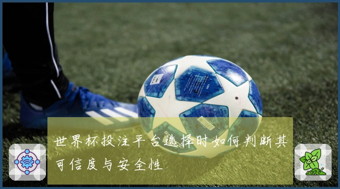 世界杯投注平台选择时如何判断其可信度与安全性